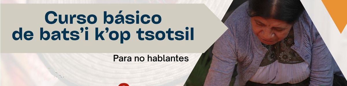 Arte en CELALI